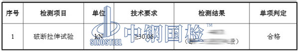 吊索具檢測項目結(jié)果