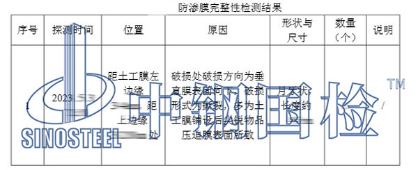 檢測項目結果